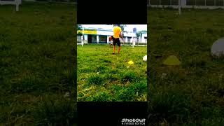 Powerful Shot In Football🚀🚀🦶lgoalabffvlog shorts viralvlogs [upl. by Slocum]