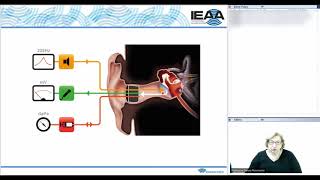 Aula de Timpanometria  1ª parte [upl. by Gerianne]