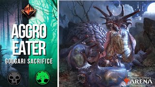 Destroying aggro players GOLGARI SACRIFICE  Mythic rank standard BO1 deck guide  Toxrill MTG Arena [upl. by Warring]