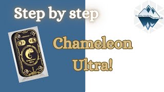 Chameleon Ultra A StepbyStep Guide to Downloading Compiling and Running the CLI [upl. by Asilim]