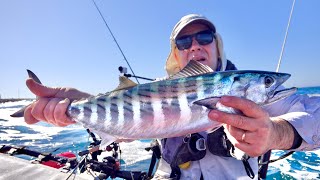 Fishing Bonito  Trolling with lures  strong current and waves [upl. by Pirbhai]