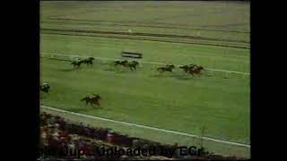 1975 Ayr Gold Cup [upl. by Nastassia]