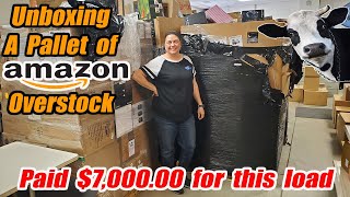 Unboxing A Pallet of Amazon Overstock that we paid Thousands of dollars for and we found cows [upl. by Ahsertal991]