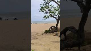 Butterfly beach Goa beautiful place in goa beach travel [upl. by Aniala469]