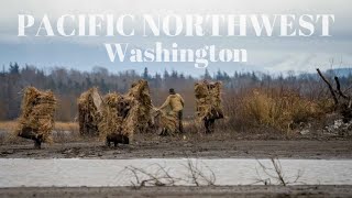 Duck Hunting in the PNW  Washington [upl. by Eiramyma]