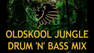 Oldskool Jungle Drum n Bass Mix 9297 [upl. by Ambrosio936]