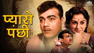 Pyase Panchhi  Full Movie  Classic Blockbuster Movie  Mehmood Ameeta  Kalayanji Anandji [upl. by Yrol489]