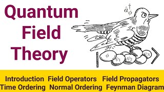 Quantum Field Theory Introduction Feynman Diagrams [upl. by Osnofedli777]