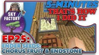 SKYFACTORY 4 EP25  ENDER SEEDS CHORUS FRUIT amp ENDSTONE HELPTUTORIAL [upl. by Nosreip]