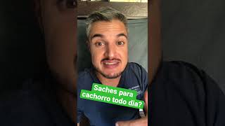 PODE DAR SACHE DE CARNE PARA CACHORRO COMER TODO DIA OU MISTURADO NA RAÇÃO DO CÃO QUE NÃO COME PURA [upl. by Ralyat]