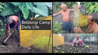 Beldangi Camp Life 2024 Update  Farming inside Beldangi Camp  करेसो बारीमा साग रोपेको [upl. by Cornel181]