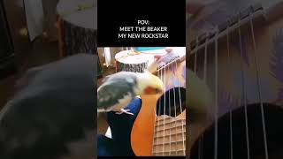 Beaker Plays Guitar and Sing Like a Pro [upl. by Aksoyn]