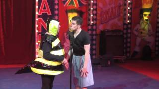 Circus Hilarious  Hippodrome Circus  Bee Routine [upl. by Matty]