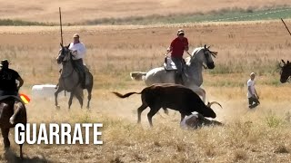 Guarrate 2024 Tradicionales Espantes con Toros Bravos [upl. by Zinn]