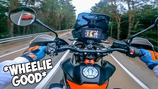 2022 KTM 890 Adventure R REVIEW Wheelies  Single Tracks  Hard Enduro Part 2 [upl. by Ahtnammas]