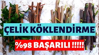 ÇELİK KÖKLENDİRME NASIL YAPILIR � BAŞARILI [upl. by Ettenowtna]