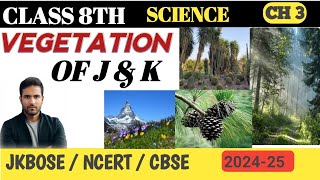 Types of vegetation in Jammu and Kashmir  Pine  Birch  Deodar aalumkclasses [upl. by Aramac]