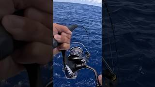 This Fish Could Pull Offshore Key West Fishing epic deepwater fishing keywest florida [upl. by Ramal]