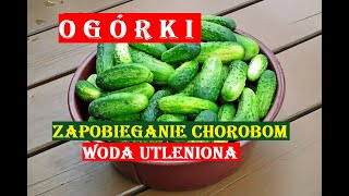 OGÓRKI  WODA UTLENIONA ZAPOBIEGA CHOROBOM CUCUMBERS [upl. by Eidob]