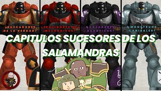 Los extraños capítulos sucesores de los salamandras  Warhammer40k Lore [upl. by Lipp371]