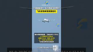 當地時間10月9日，土耳其航空公司表示，該航空公司一客機飛行員在一次執飛任務中死亡，飛機緊急降落美國紐約。土耳其航空 [upl. by Jezreel]