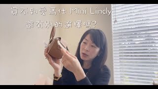 買不到愛馬仕mini lindy 有別的選擇嗎 Delvaux cool box nano 可愛的讓人尖叫 [upl. by Irelav461]