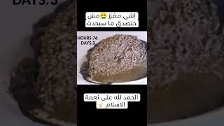 قلب الخنزير 🐷 vs الزمن 🕝  لن تصدق ماذا سيحدث [upl. by Boffa282]