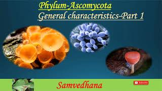 PhylumAscomycota General characteristics [upl. by Drofla]