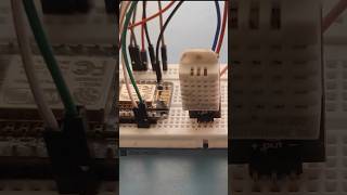 Monitor the temperature with this sensor arduinoproject diy raspberrypi [upl. by Aniara]