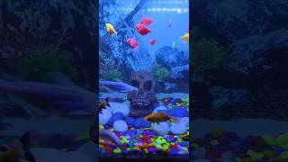 Gold fish tank mates  Koi carp Sharks Placo Other gold fish  aquariumfish viral Short [upl. by Pandolfi]