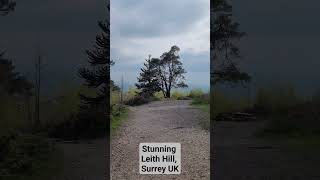 Stunning Leith Hill Surrey UK music soul nature treehugger viewpoint [upl. by Asyral]