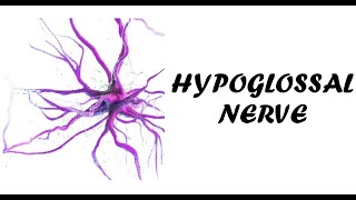 Hypoglossal Nerve Examination  Cranial Nerve 12 Examination  Examination of Hypoglossal Nerve [upl. by Lashonda]