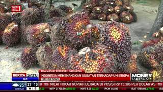 Indonesia Memenangkan Gugatan WTO [upl. by Ronalda662]