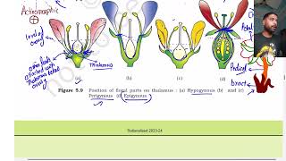 Morphology of flowering plants part 4  Class 11  The Flower  NEET [upl. by Iridissa]