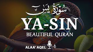 Heart shooting recitation of Surah Yaseen Yasin سورة يس  by Alaa aqel [upl. by Hoshi385]