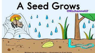 A Seed Grows [upl. by Nomma]