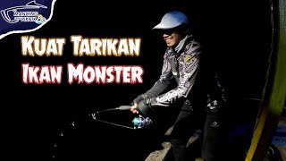 Sangat Kuat Tarikan Ikan Monster ini [upl. by Imogene]