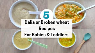 5 Broken Wheat Recipes For Babies and Toddlers  Dalia Recipes For Babies  White Pot [upl. by Alameda]