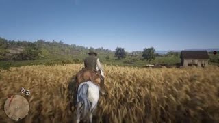 Red Dead Redemption 2 Lemme help you get there [upl. by Yalcrab]