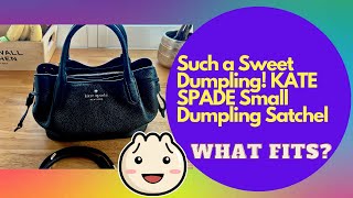 Such a Sweet Dumpling KATE SPADE Small DUMPLING Satchel  WHAT FITS [upl. by Murtagh558]