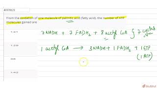 From the oxidation of one molecule of palmitic acid fatty acid the number of ATP [upl. by Tychon526]