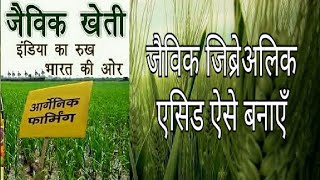 जैविक जिब्रेअलिक एसिड हॉर्मोन।Orgenic Gibberellic acid plants hormone [upl. by Aldas200]