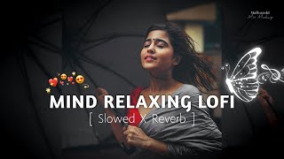 💕Mind Relaxing Songs 2024  Mind Relax Lofi Mashup 2024  Mind Relaxing Music  Malivanshi0008 [upl. by Arytahs]