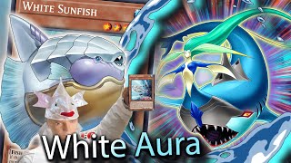 White Aura Ghoti Combos Part 2  Mermaid SharkYuGiOh TCG [upl. by Dnalrag]