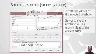 Filtering basd on attributes in QGIS [upl. by Aliehc]