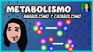 Metabolismo  anabolismo y catabolismo [upl. by Anilam]