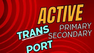 Active transport primary and secondary easy language [upl. by Martinic]