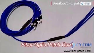 lszh blue armored fiber optic patch cord fcfc singlemode g652d 9125 sx or dx [upl. by Nichole]