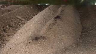 Poultry litter composting [upl. by Aekerly]