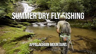 Summer Dry Fly Fishing Appalachian Small Streams [upl. by Enomar]